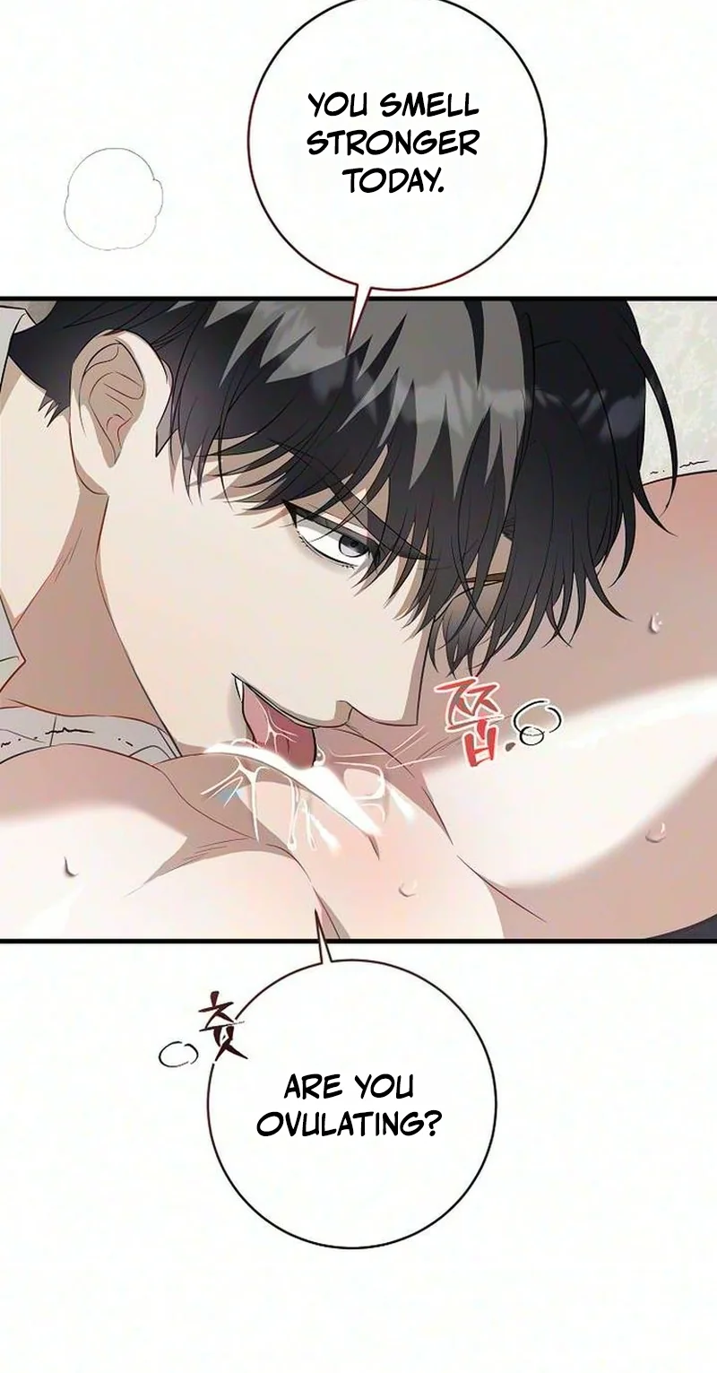 Read Pregnant After Divorce chapter 2 image 10 on Lezhin