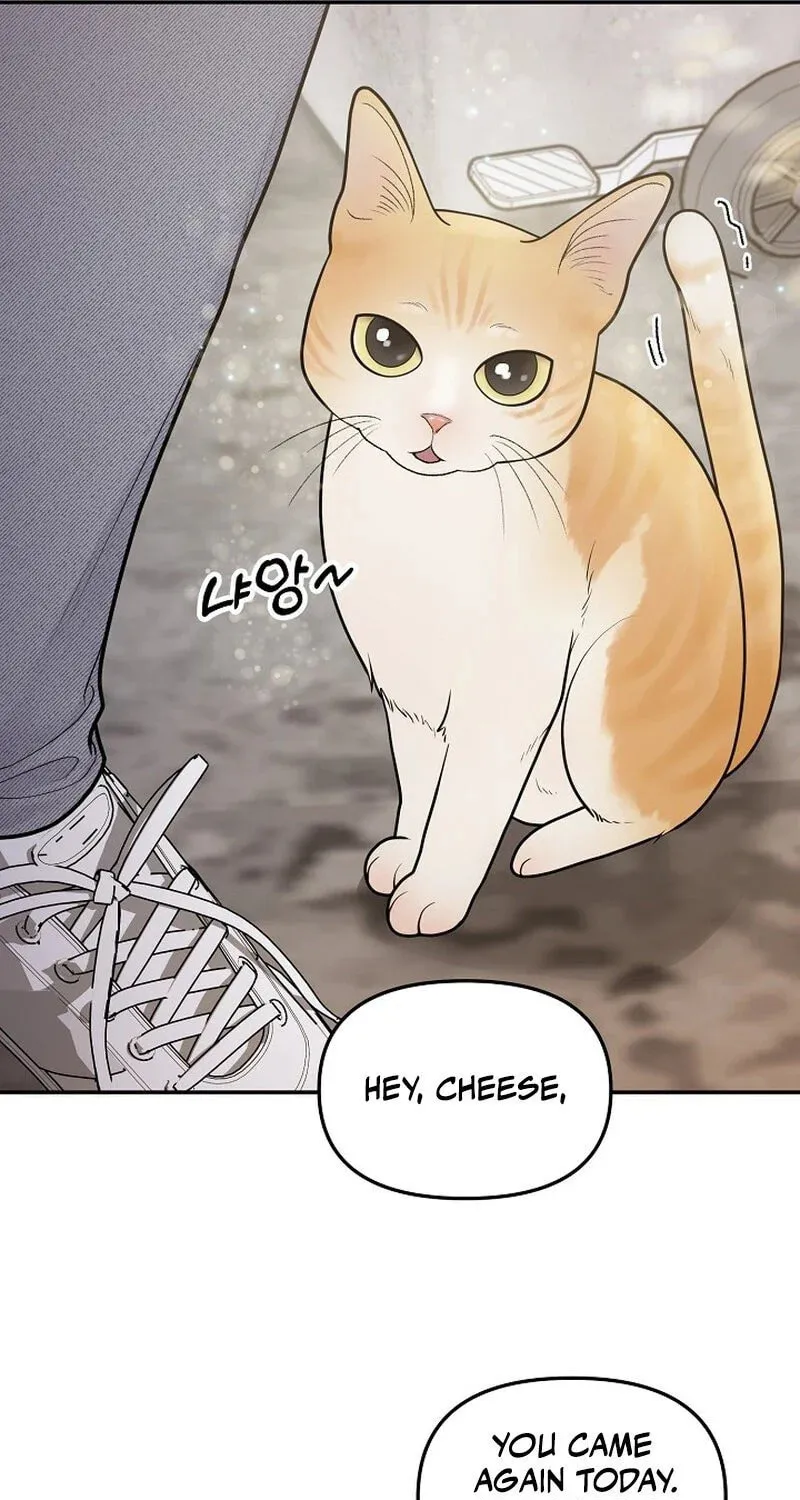 Read Pregnant, Predatory chapter 1 image 78 on Lezhin