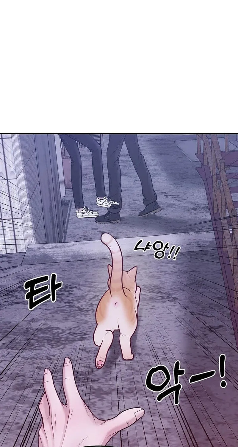 Read Pregnant, Predatory chapter 1 image 88 on Lezhin