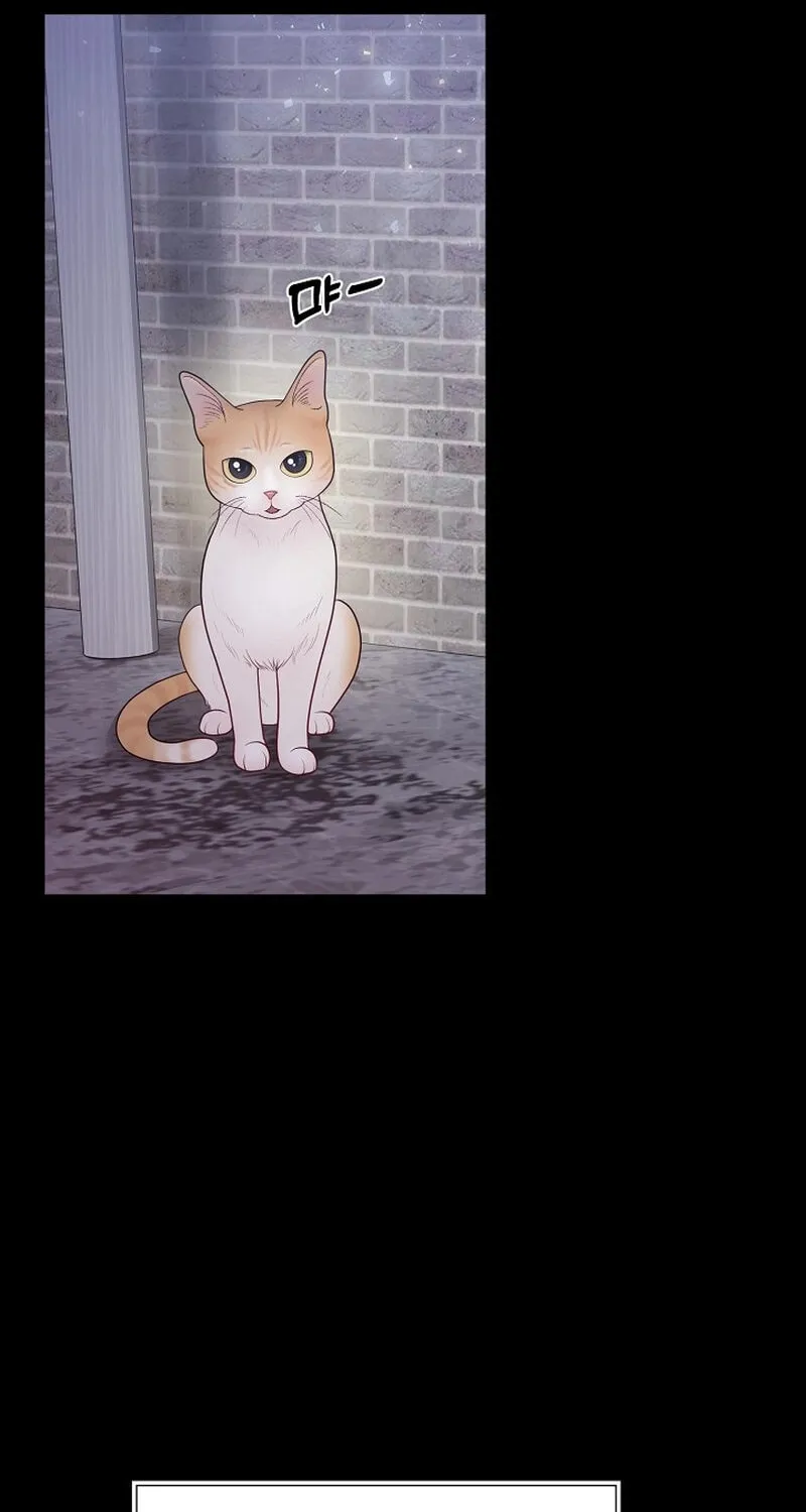 Read Pregnant, Predatory chapter 13 image 21 on Lezhin
