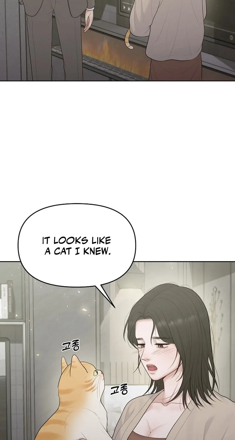 Read Pregnant, Predatory chapter 13 image 73 on Lezhin