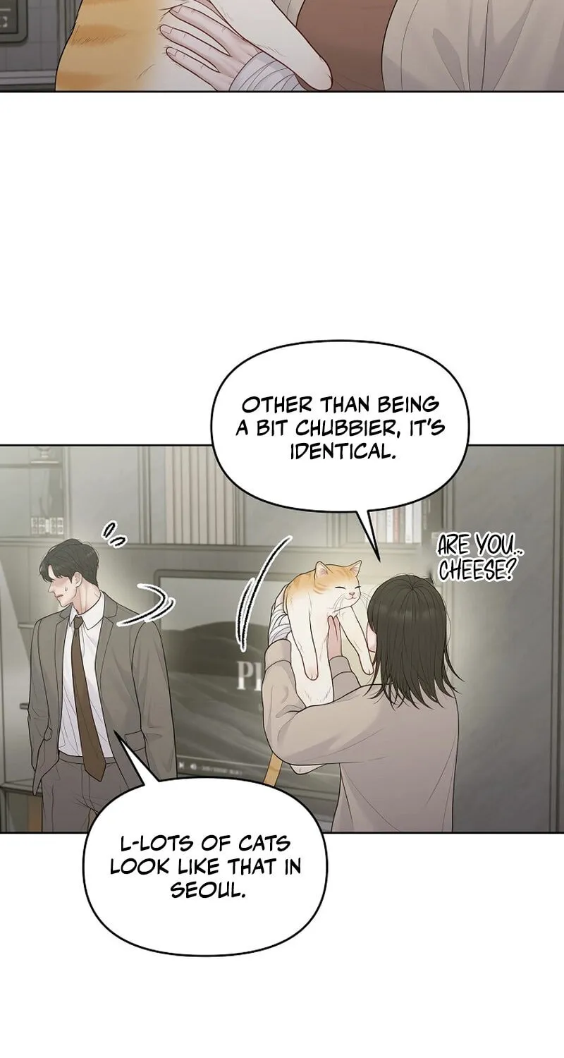 Read Pregnant, Predatory chapter 13 image 74 on Lezhin