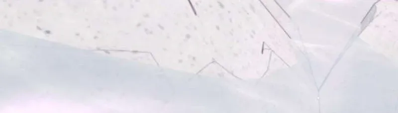 Read Preserved chapter 9 image 4 on Lezhin