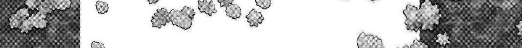 Read Pretty Face chapter 52.5 image 1 on Lezhin