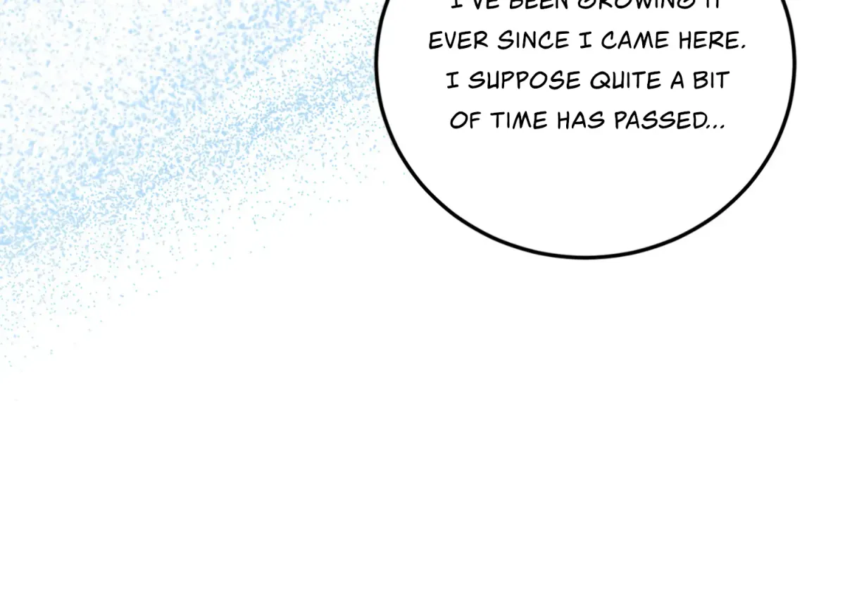 Read Primal Instinct chapter 11 image 160 on Lezhin