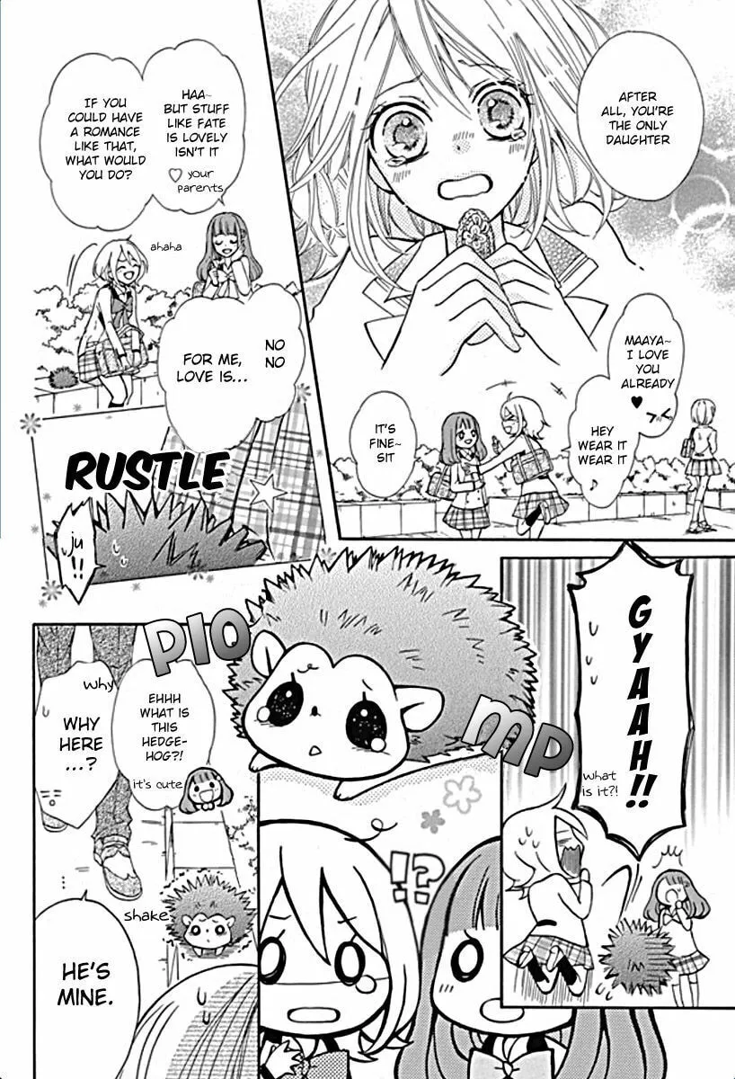 Read Primo Prima! chapter 1 image 7 on Lezhin