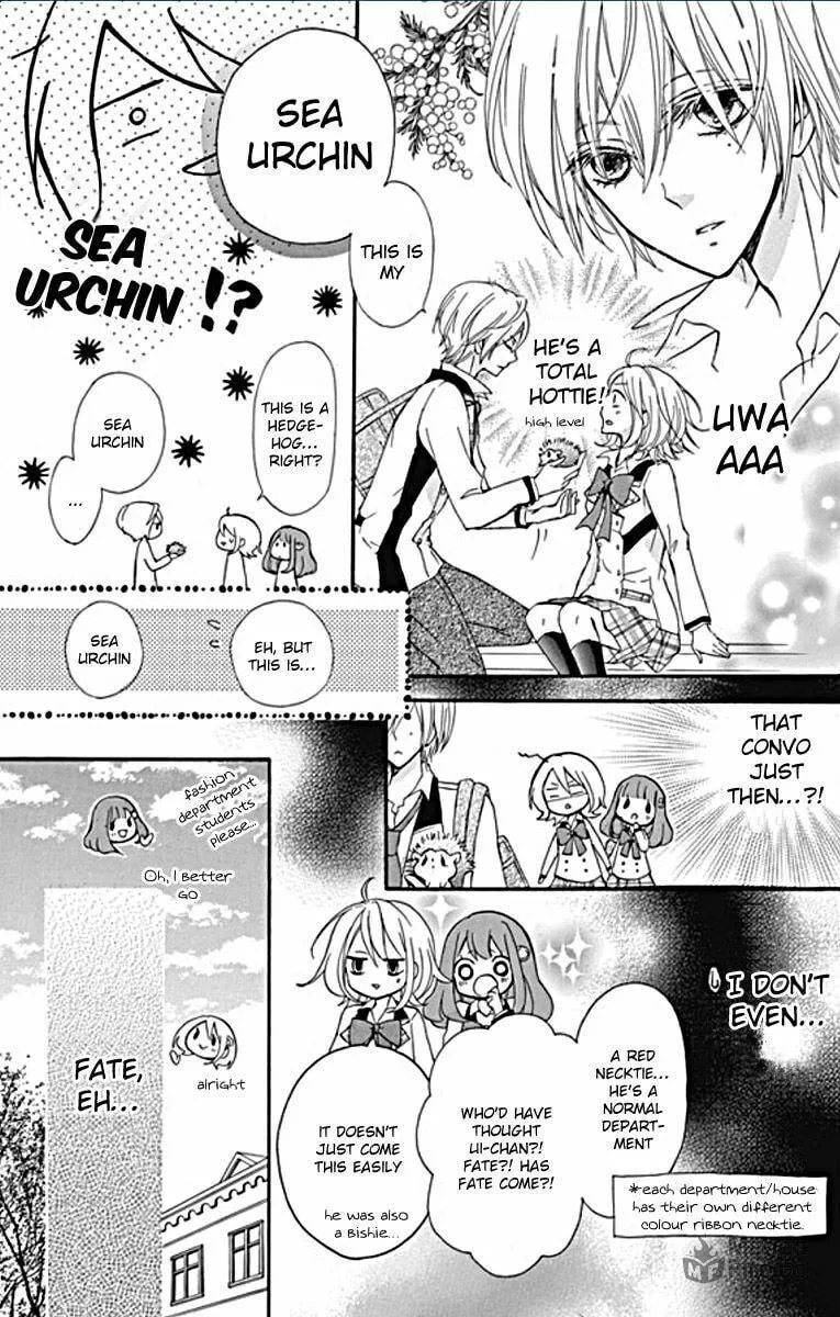 Read Primo Prima! chapter 1 image 8 on Lezhin