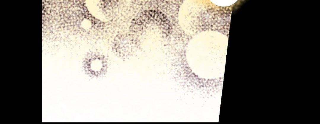 Read Prince Bari chapter 73 image 171 on Lezhin