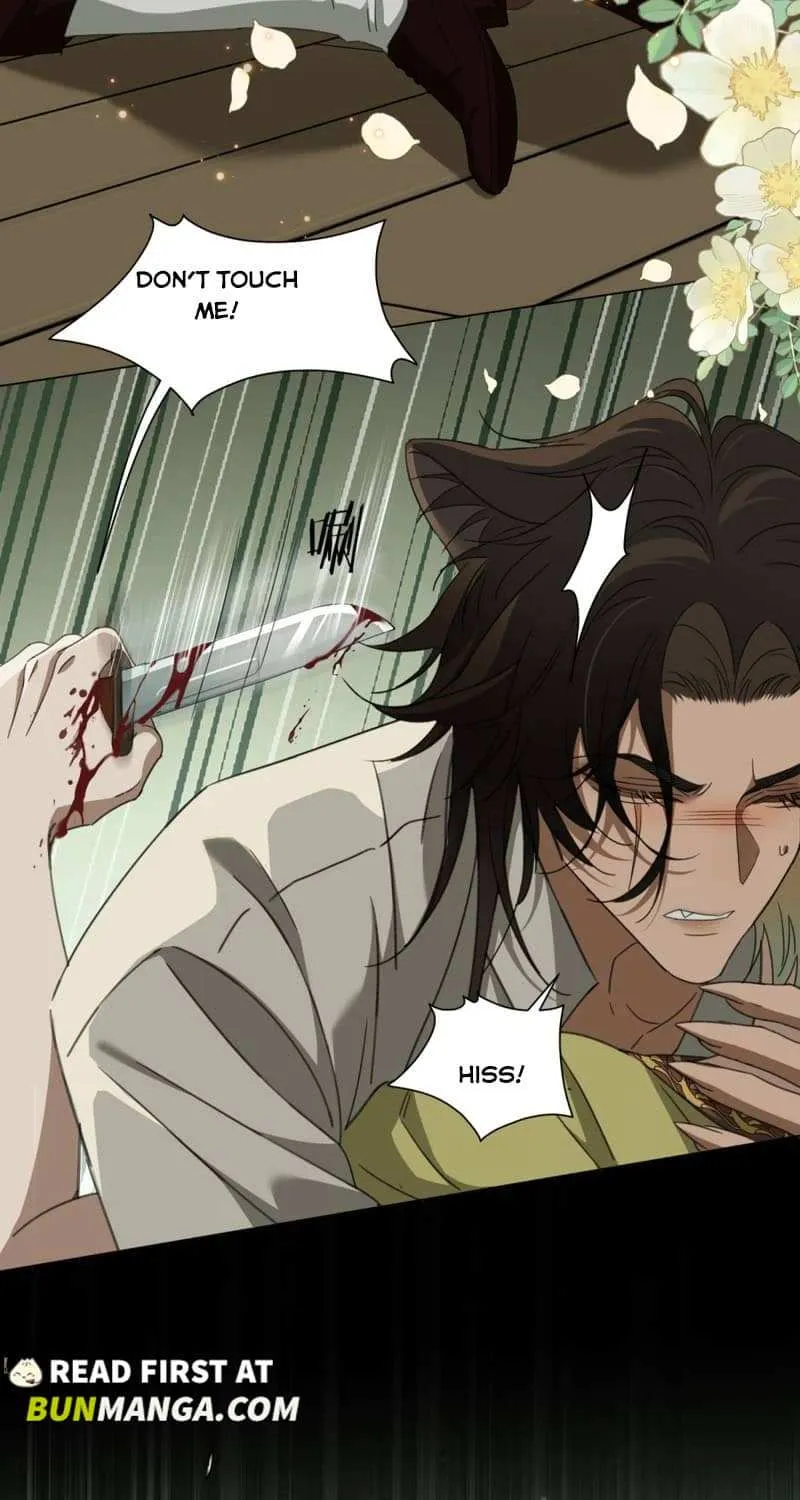 Prince captivated by the black panther Chapter 11 page 22 - 
