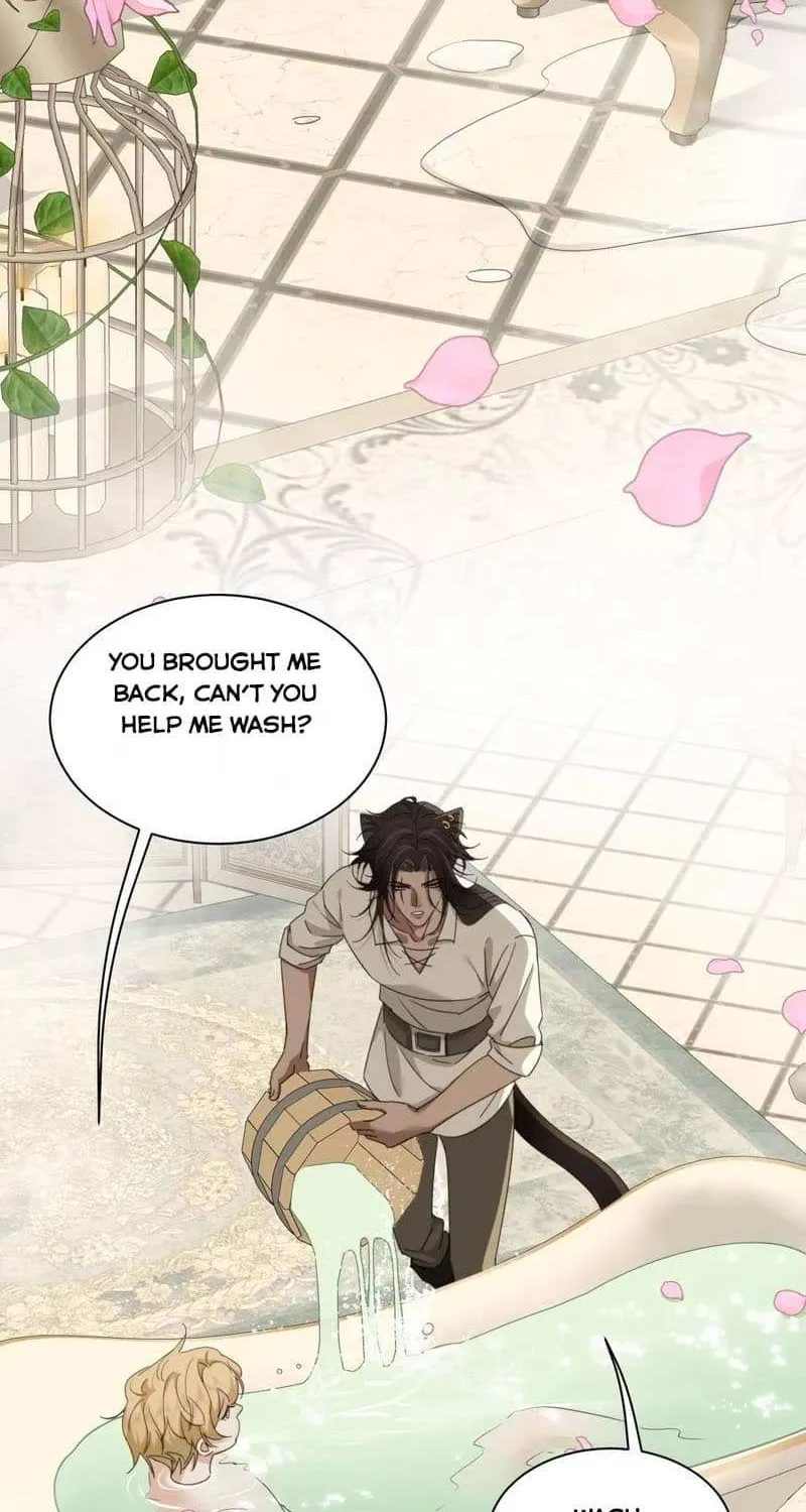 Prince captivated by the black panther Chapter 12 page 12 - 