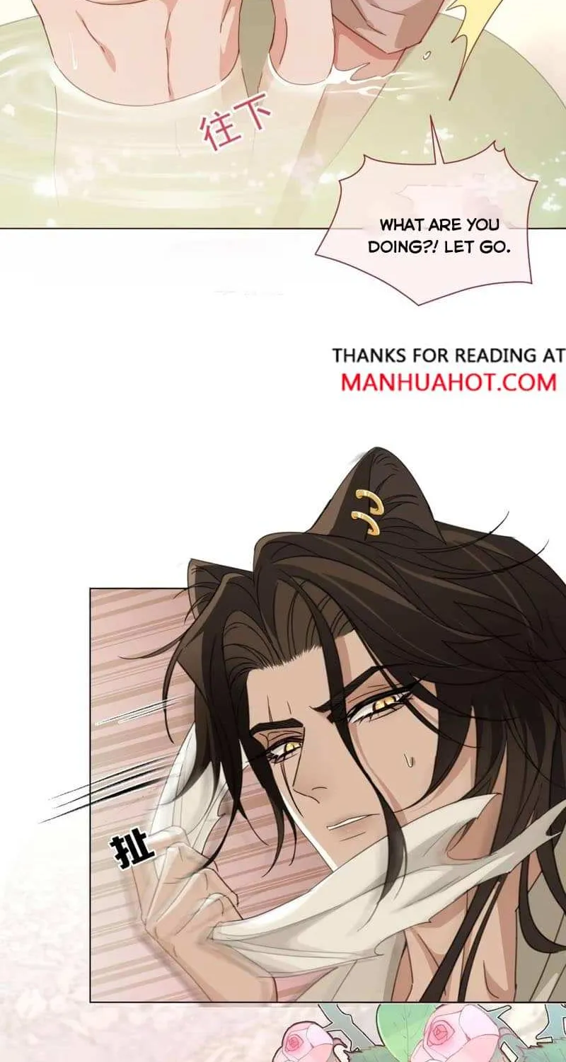 Prince captivated by the black panther Chapter 12 page 19 - 