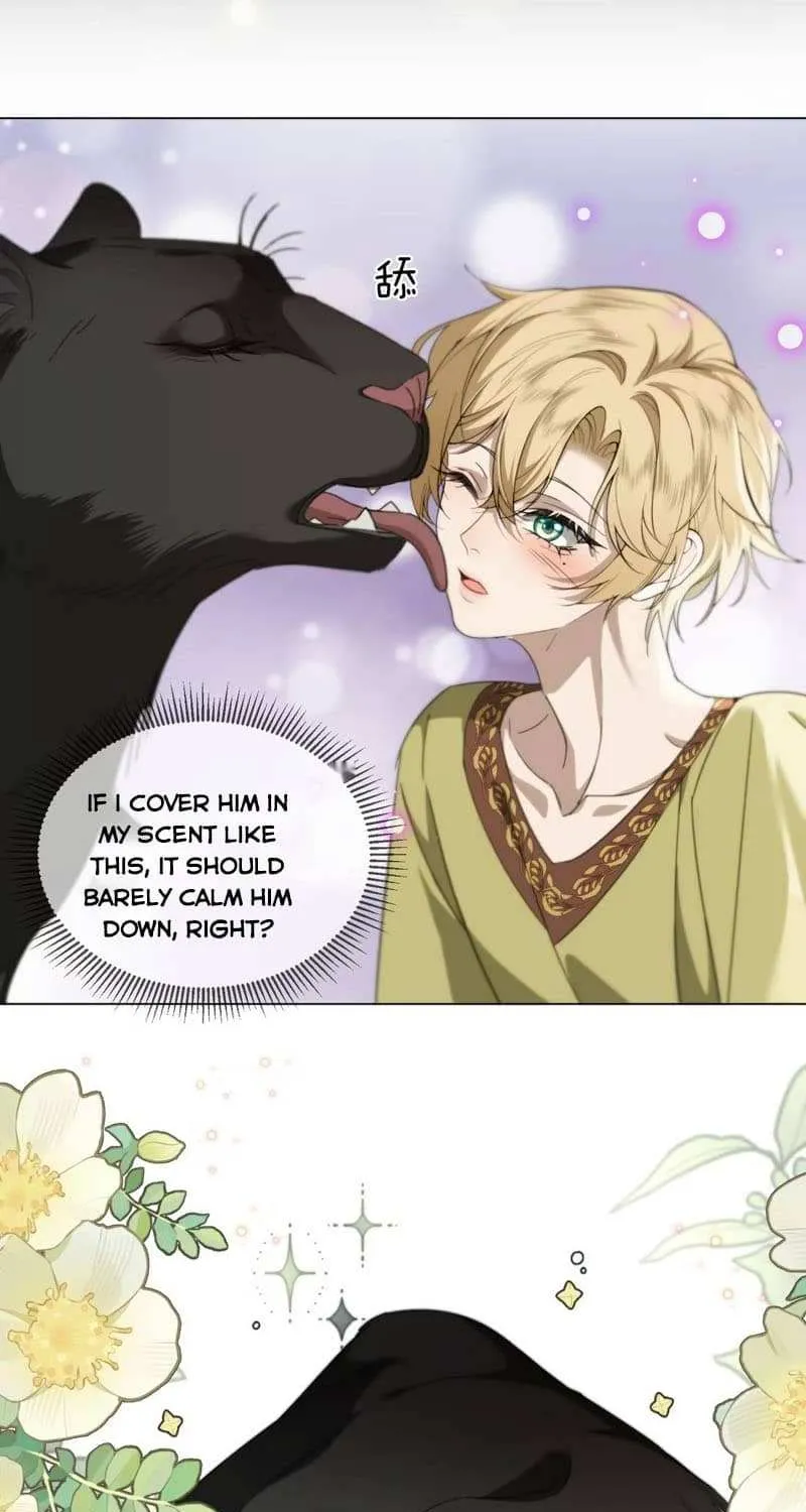 Prince captivated by the black panther Chapter 12 page 5 - 