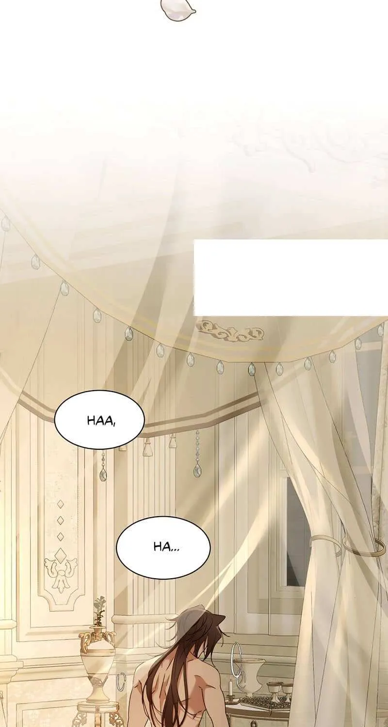 Prince captivated by the black panther Chapter 14 page 17 - 
