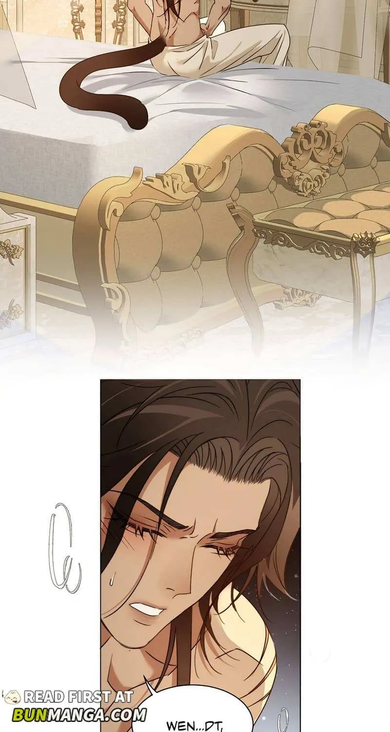 Prince captivated by the black panther Chapter 14 page 18 - 