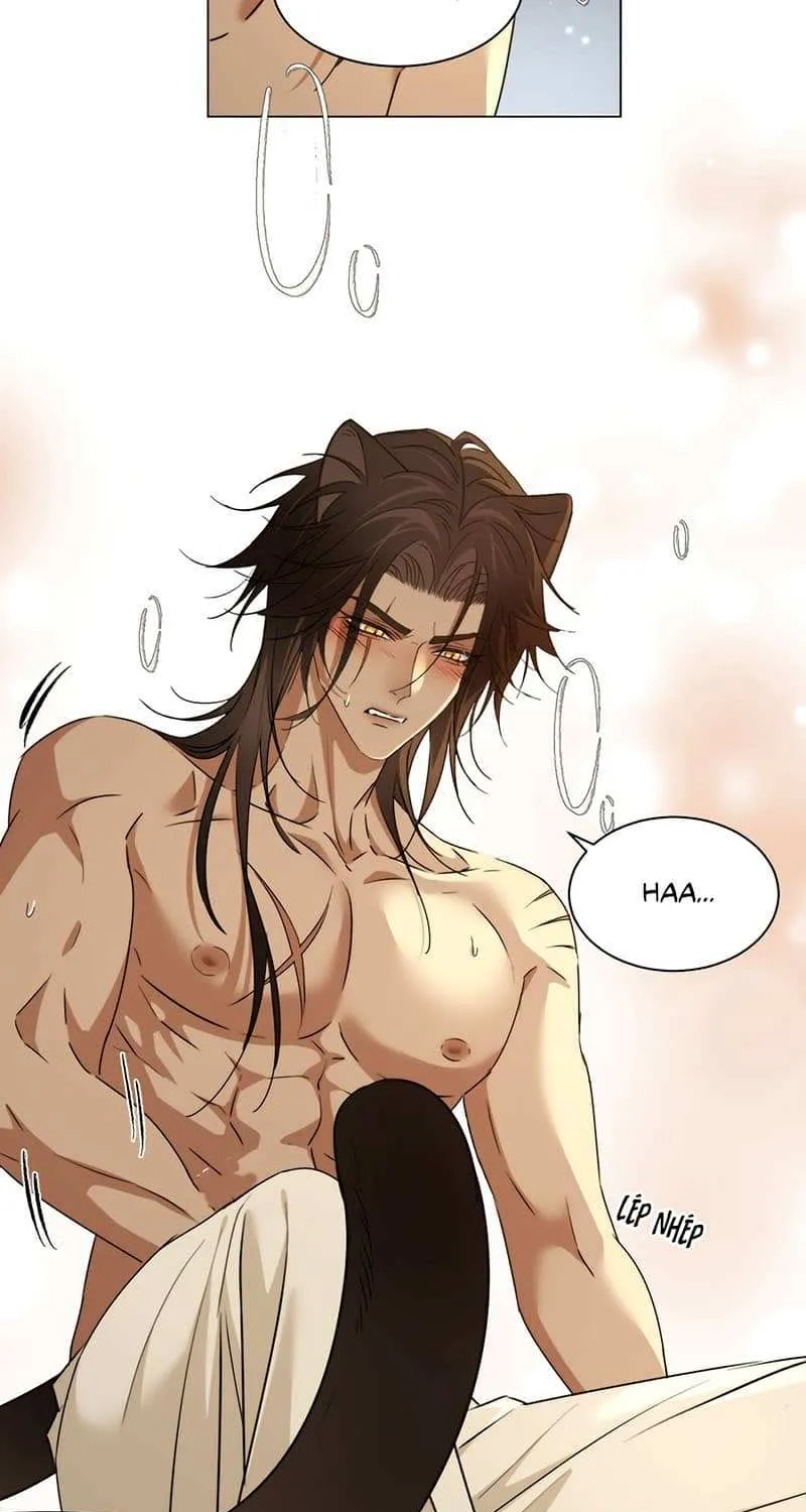 Prince captivated by the black panther Chapter 14 page 19 - 