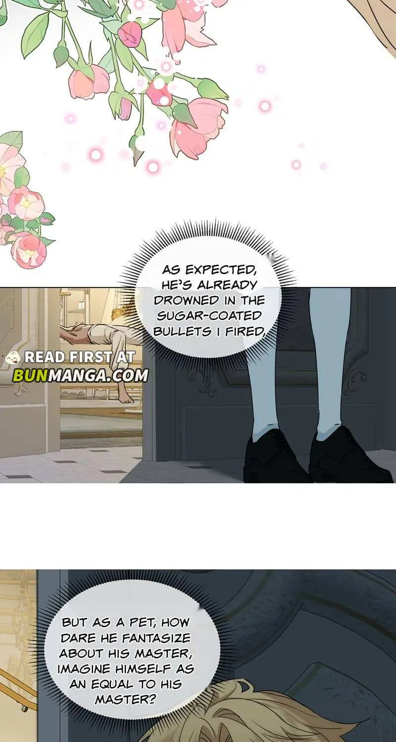 Prince captivated by the black panther Chapter 14 page 25 - 