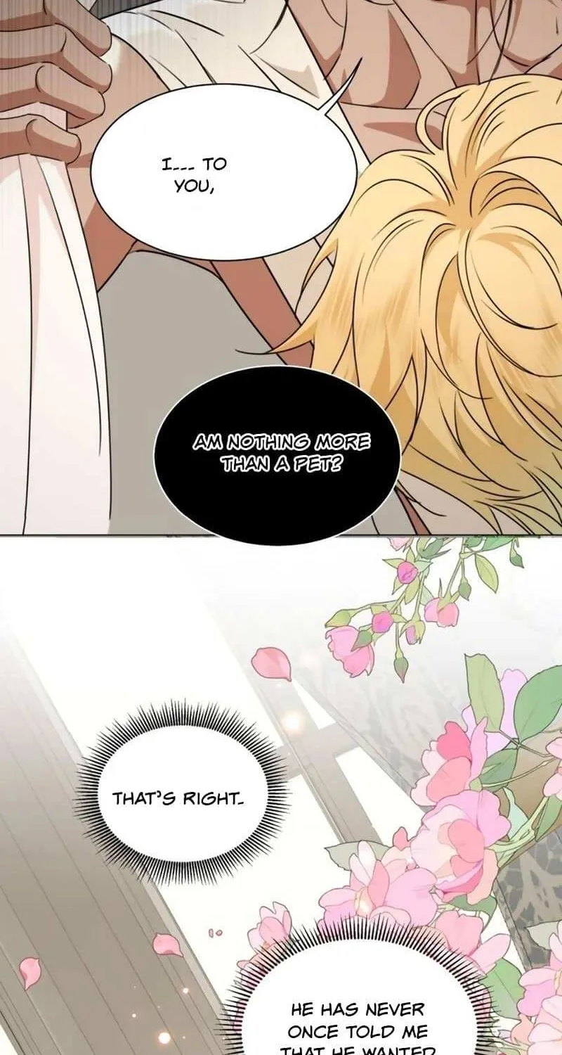 Prince captivated by the black panther Chapter 15 page 3 - 