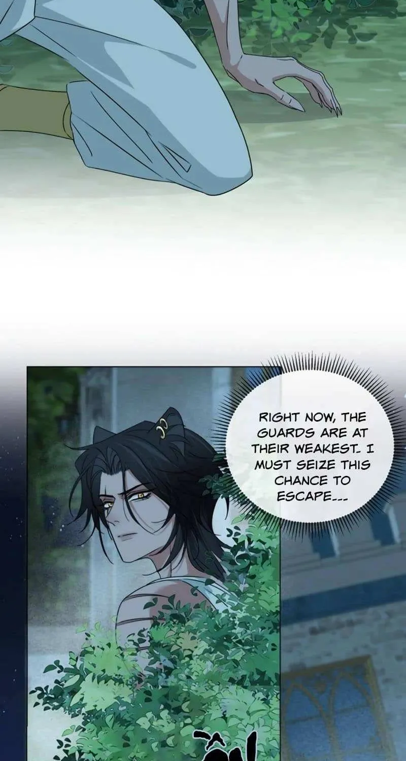 Prince captivated by the black panther Chapter 15 page 34 - 