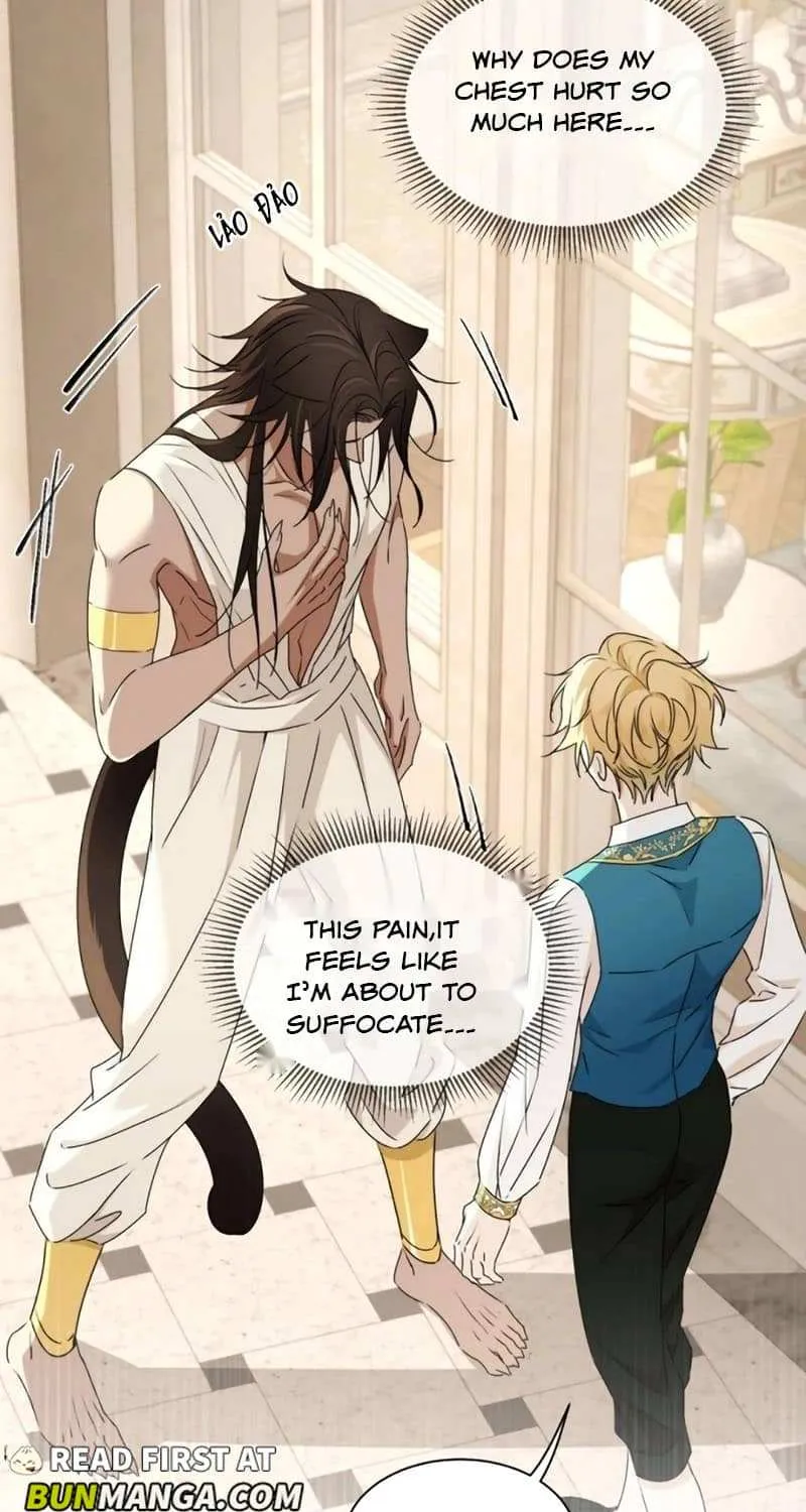 Prince captivated by the black panther Chapter 15 page 9 - 