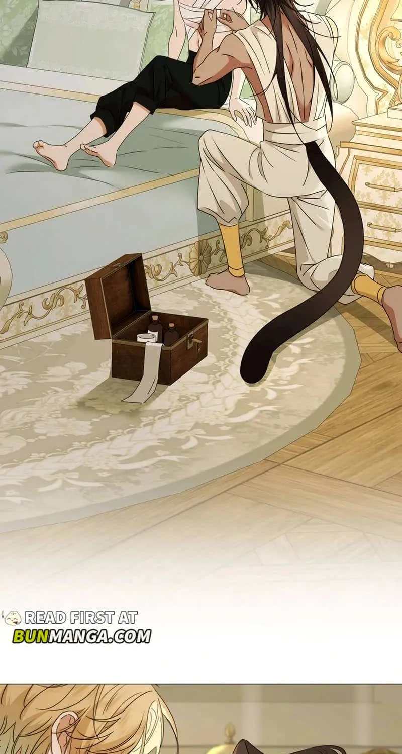 Prince captivated by the black panther Chapter 16 page 31 - 