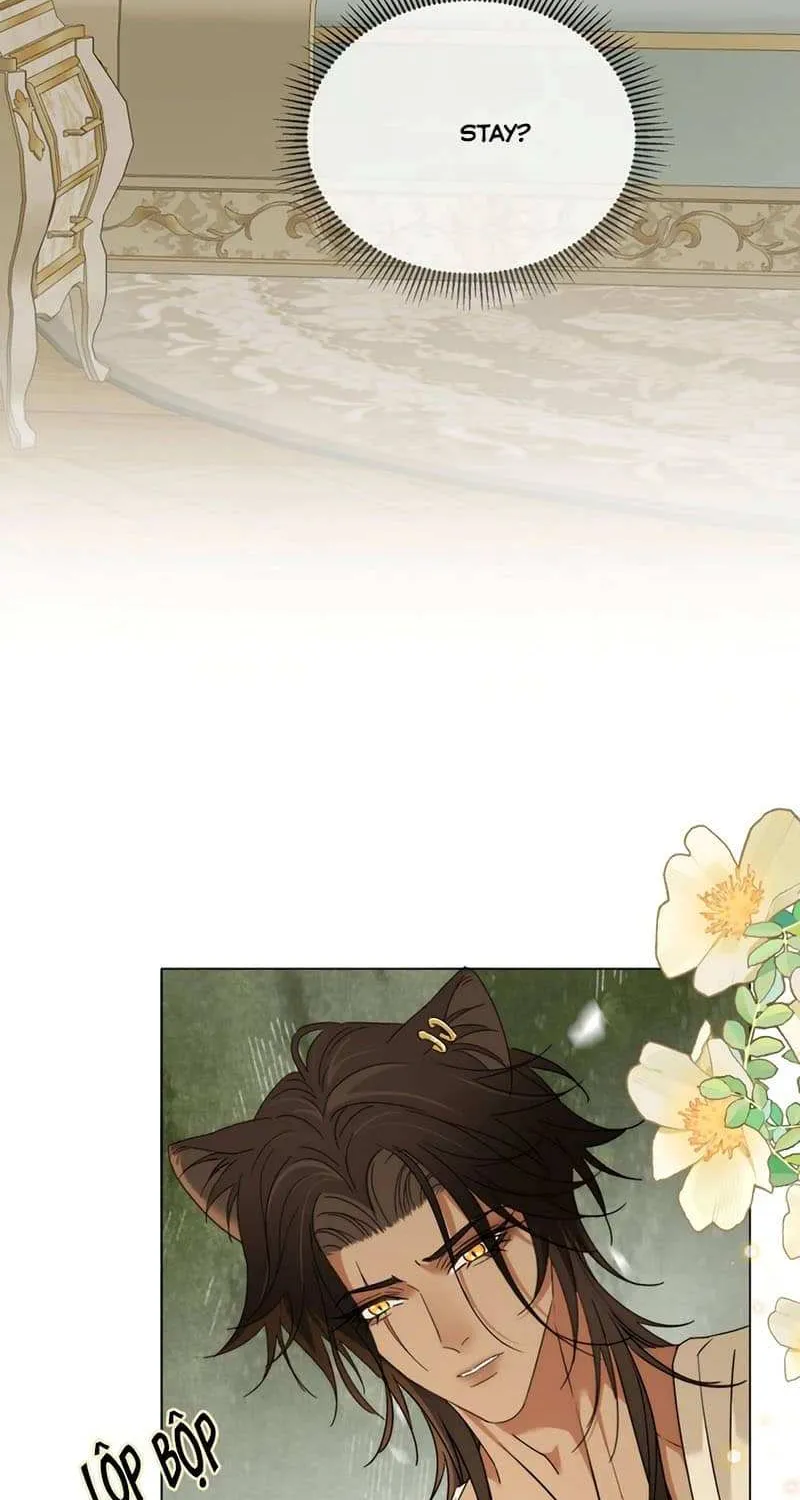Prince captivated by the black panther Chapter 16 page 34 - 