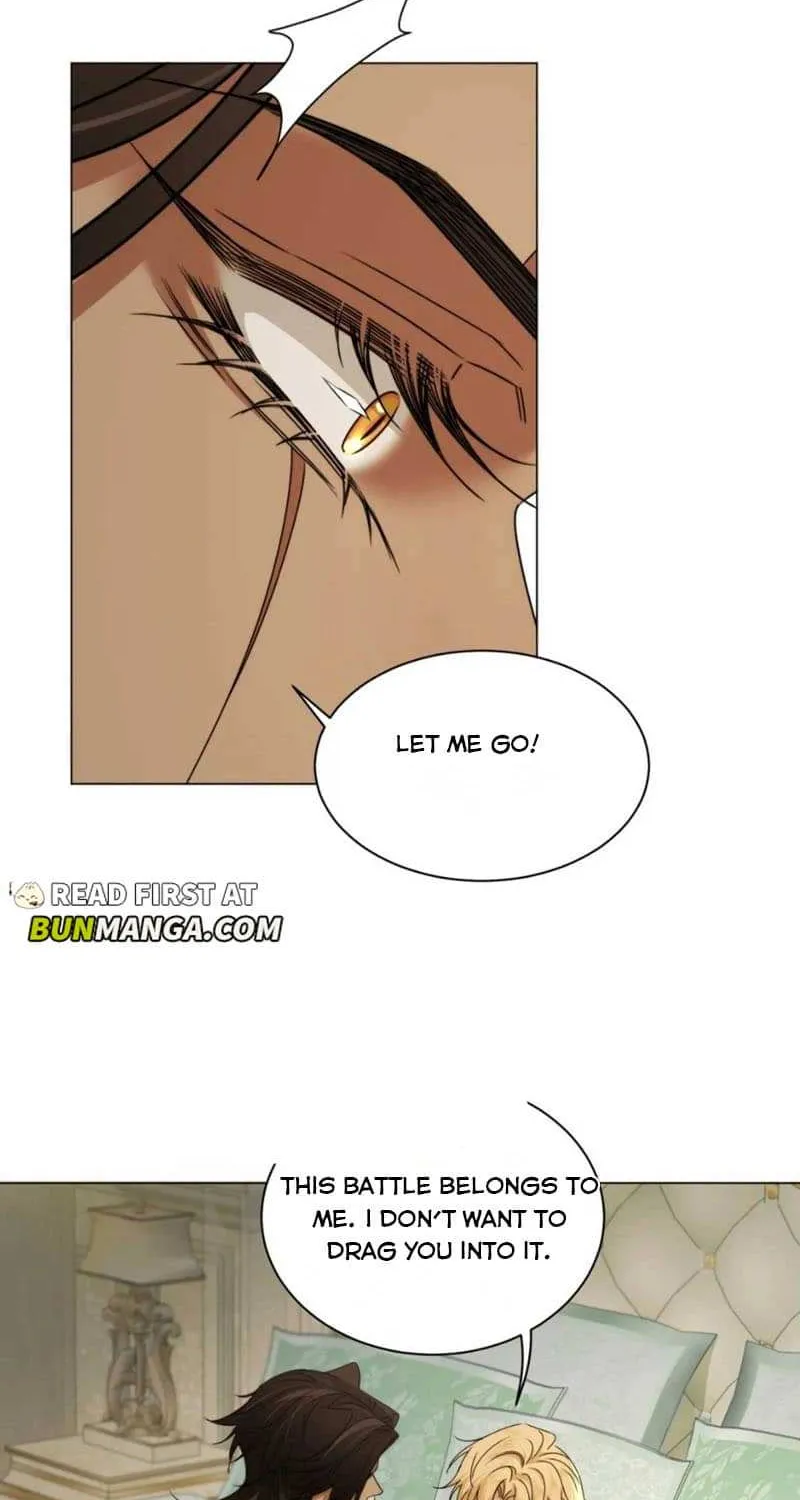 Prince captivated by the black panther Chapter 17 page 20 - 