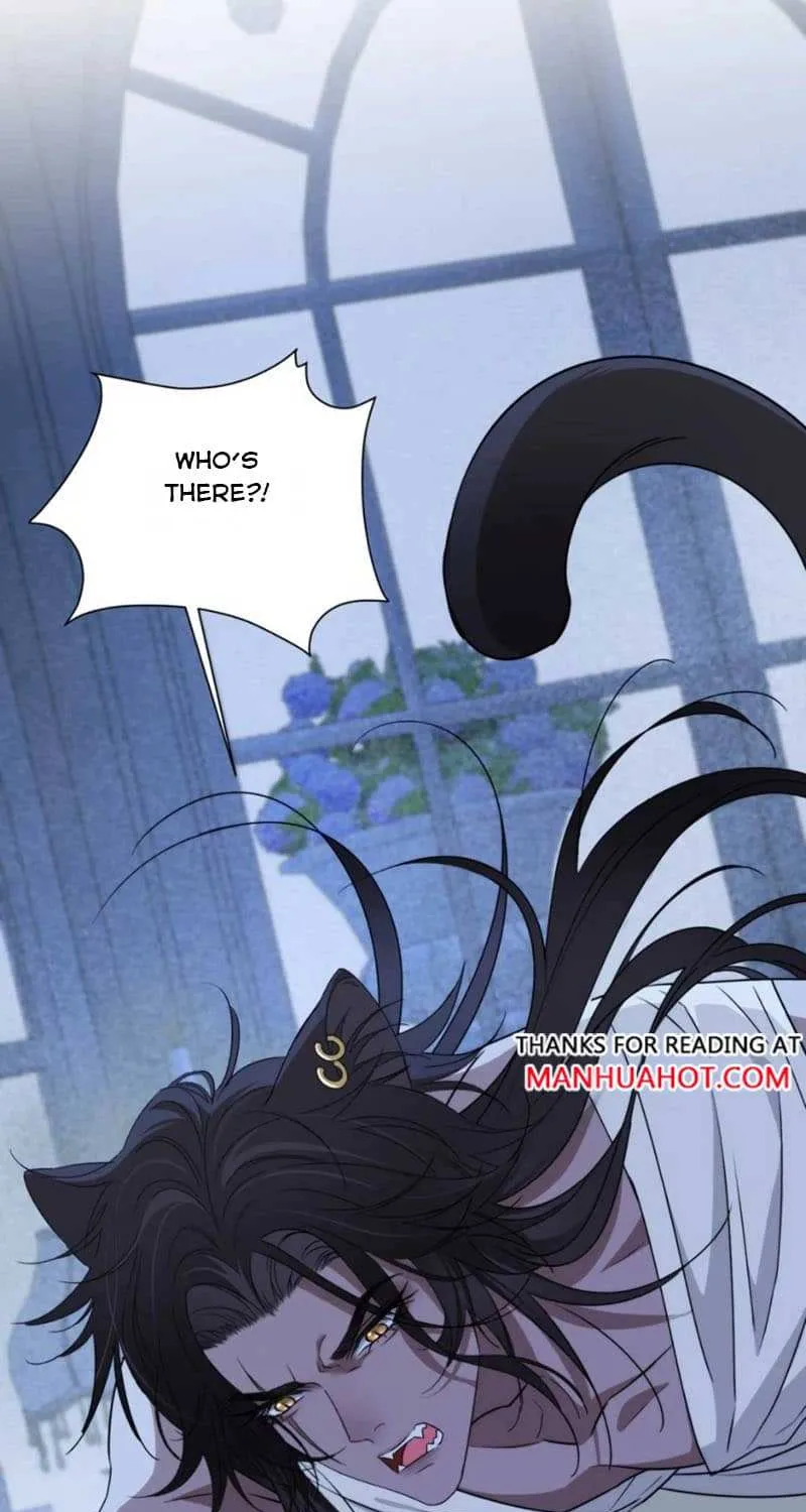 Prince captivated by the black panther Chapter 17 page 37 - 