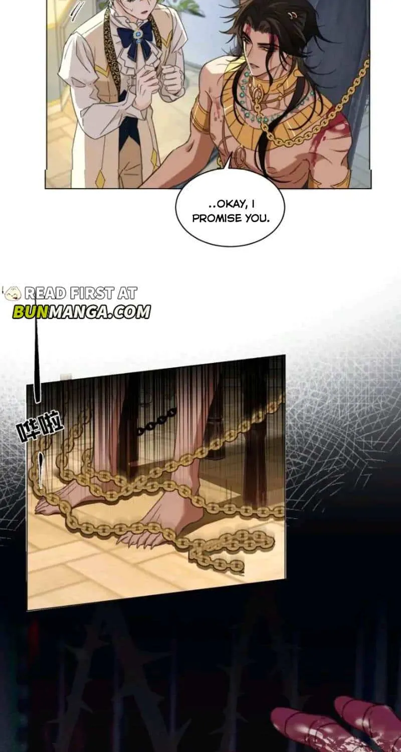 Prince captivated by the black panther Chapter 2 page 11 - 