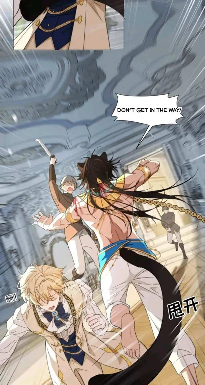 Prince captivated by the black panther Chapter 2 page 25 - 