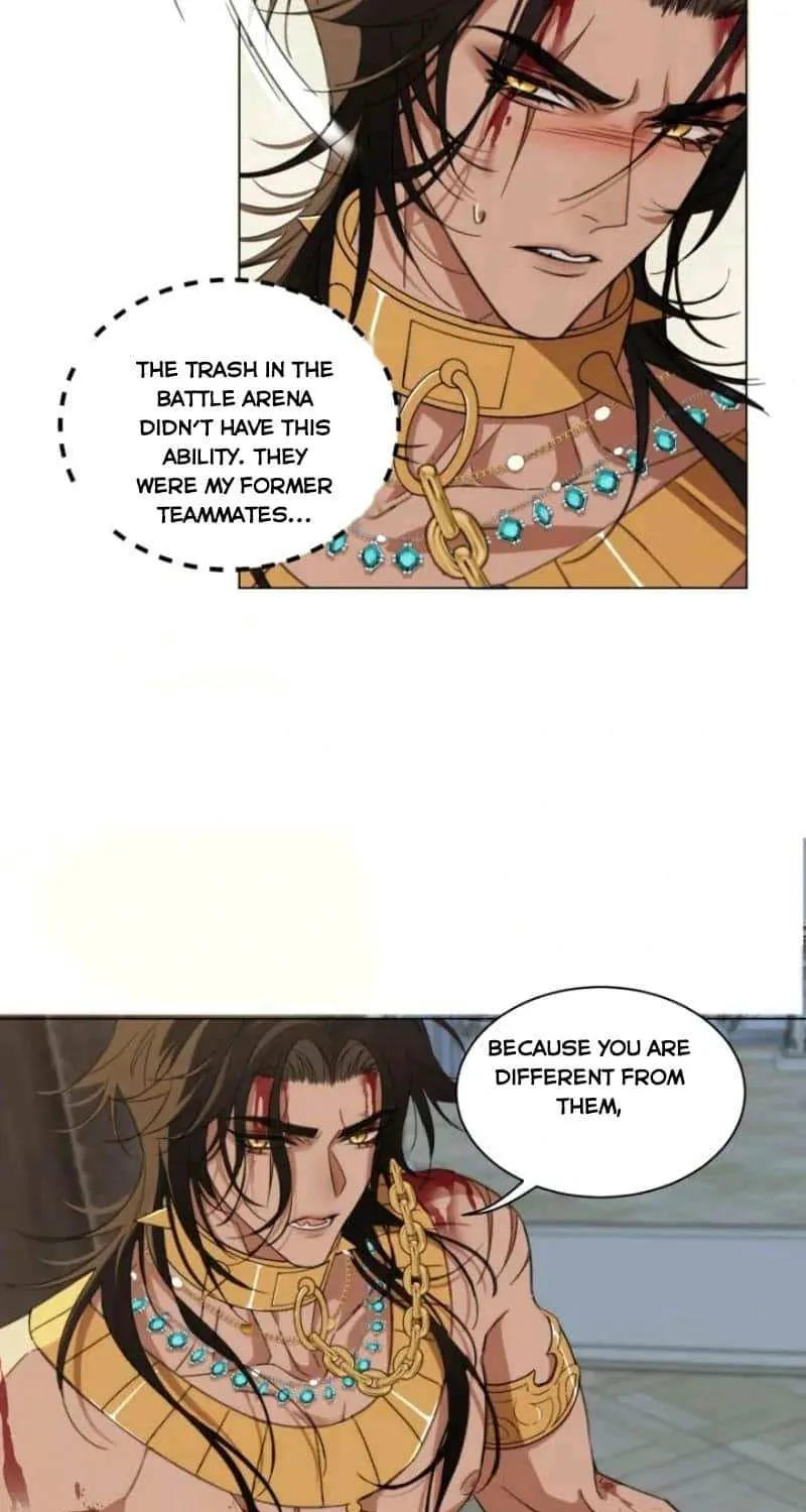 Prince captivated by the black panther Chapter 2 page 8 - 