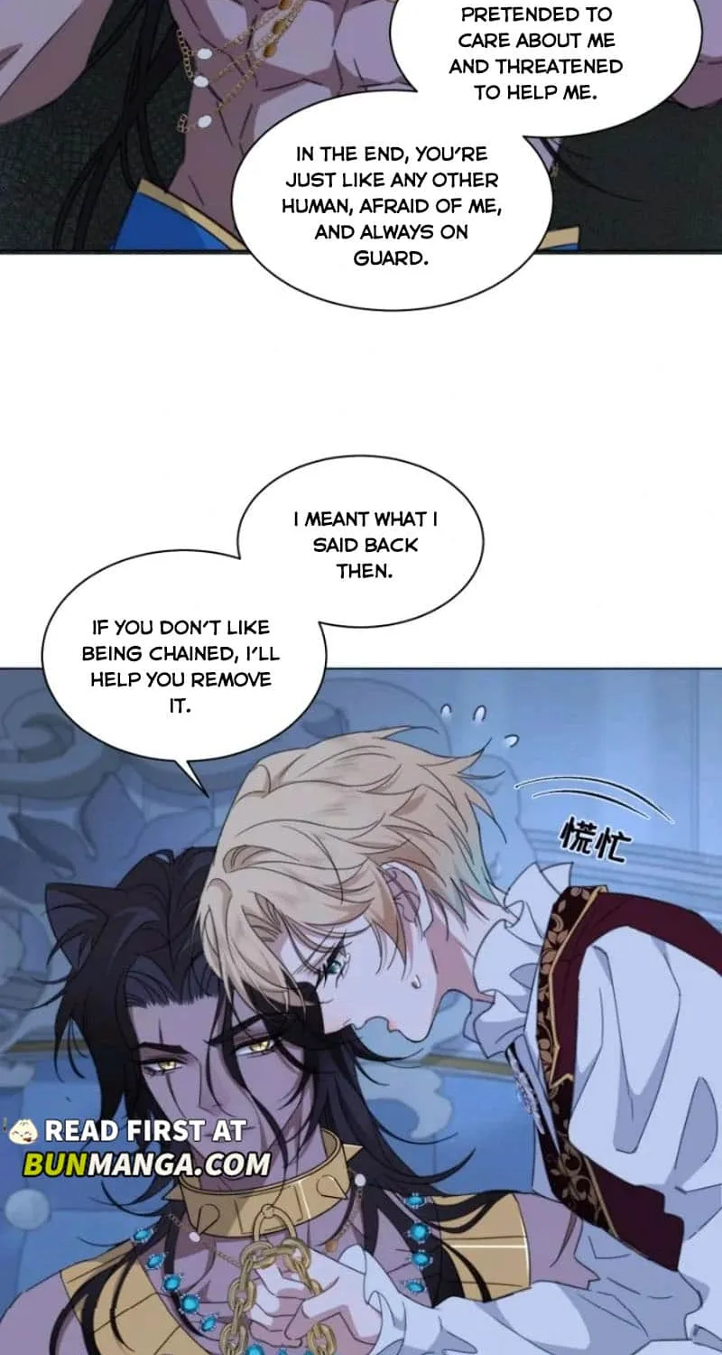 Prince captivated by the black panther Chapter 4 page 12 - 