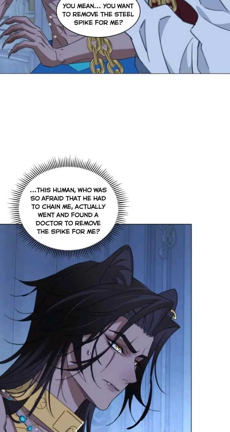 Prince captivated by the black panther Chapter 4 page 16 - 