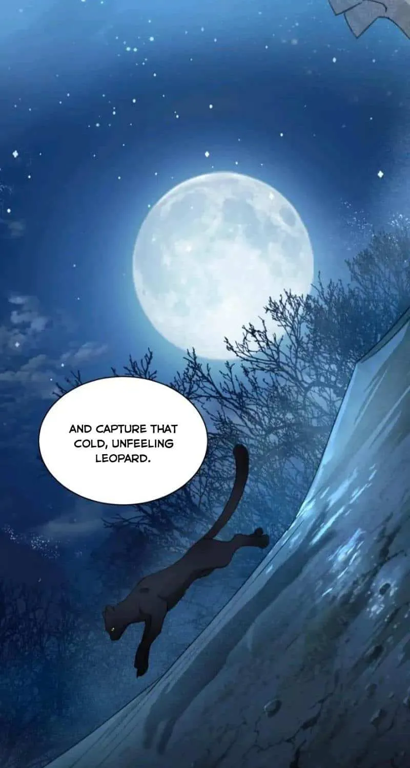Prince captivated by the black panther Chapter 7 page 17 - 