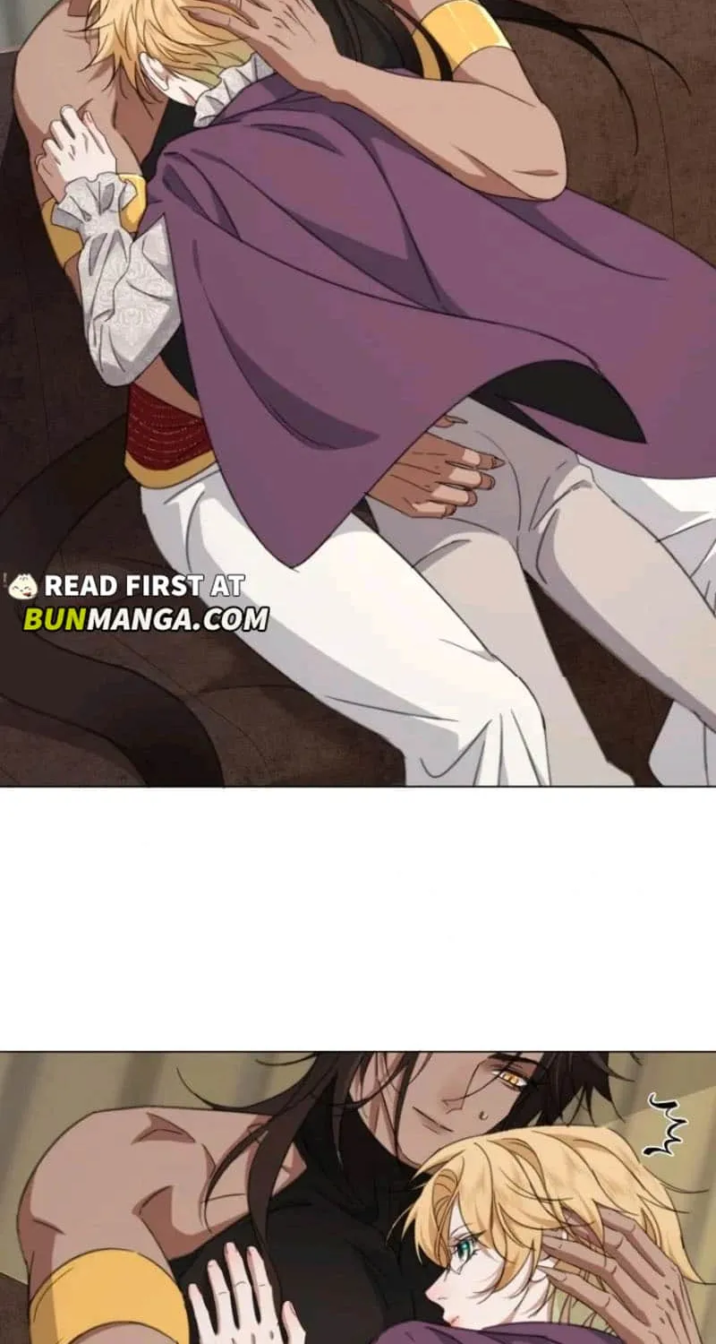 Prince captivated by the black panther Chapter 8 page 34 - 