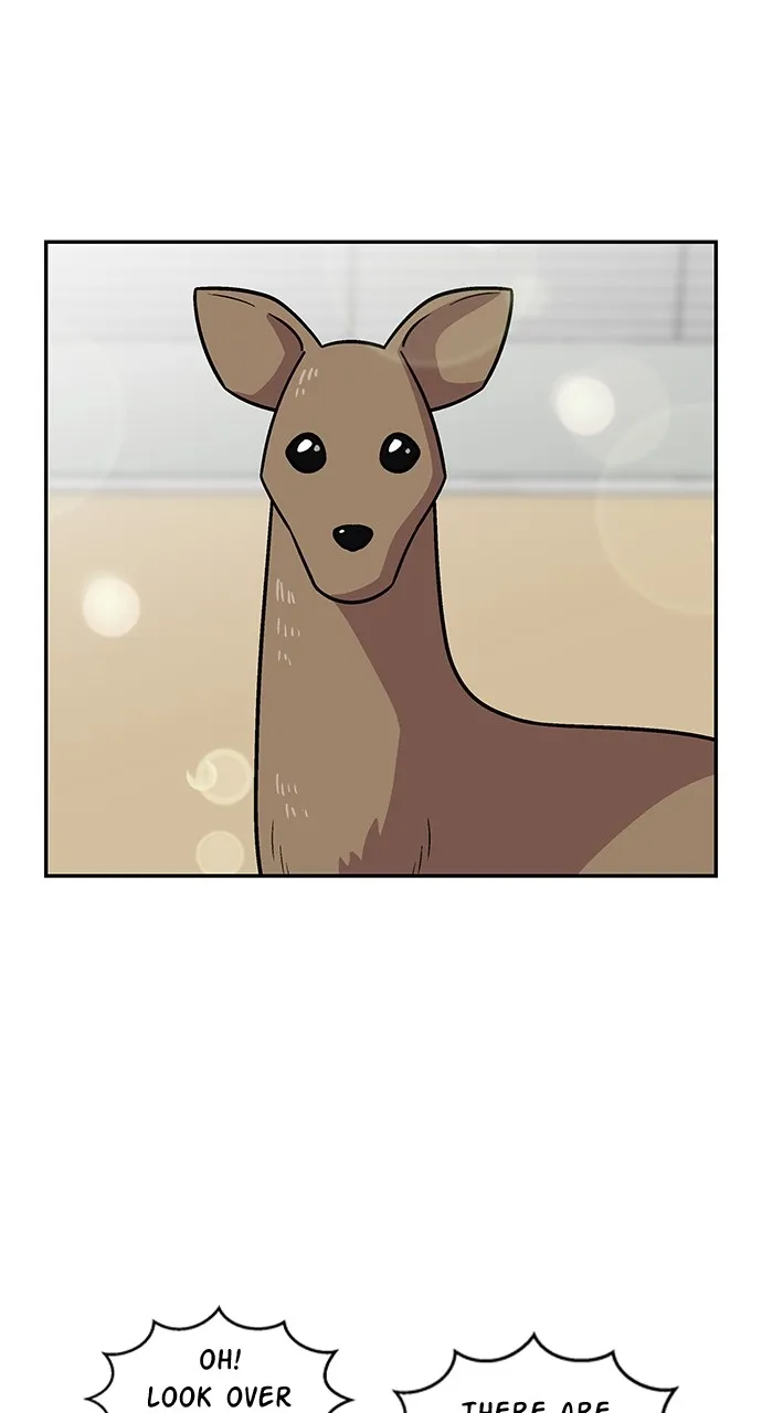 Read Princess Hurricane chapter 8 image 3 on Lezhin