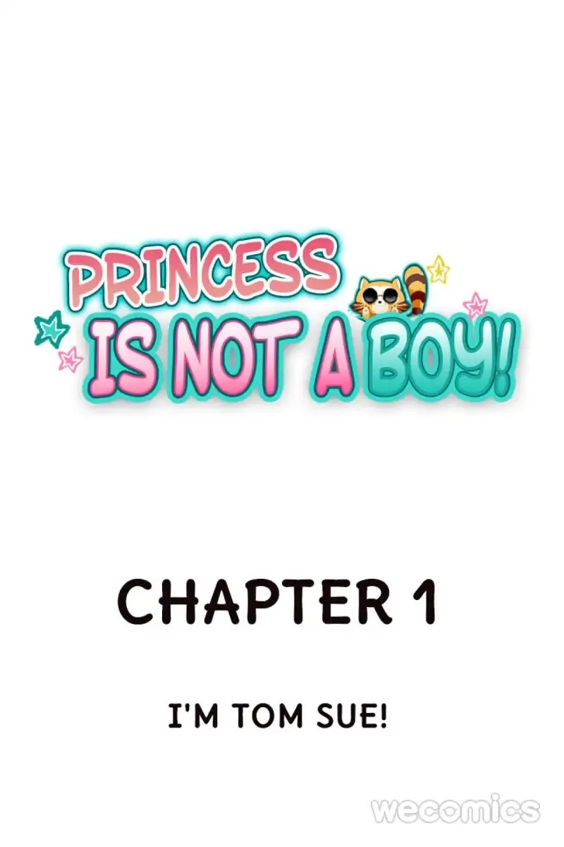 Read Princess Is Not a Boy chapter 1 image 0 on Lezhin