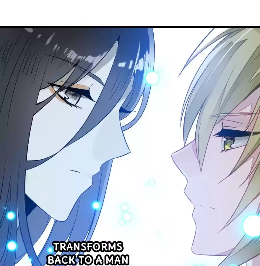 Read Princess Is Not a Boy chapter 11 image 93 on Lezhin