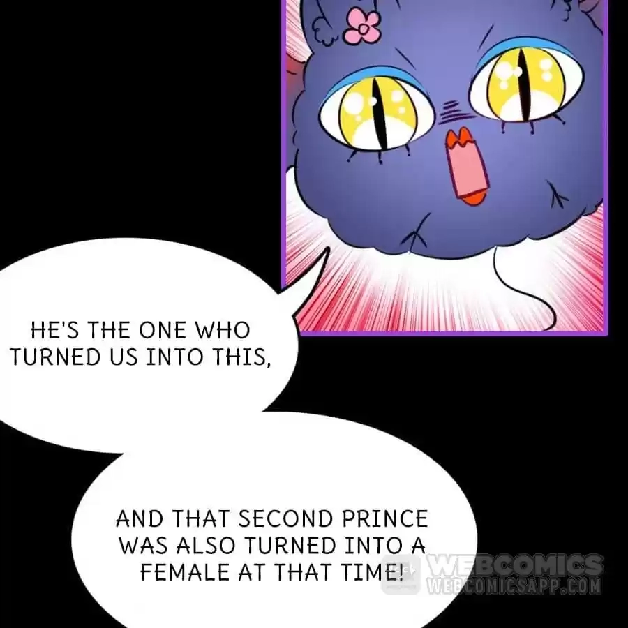 Read Princess Is Not a Boy chapter 21 image 42 on Lezhin