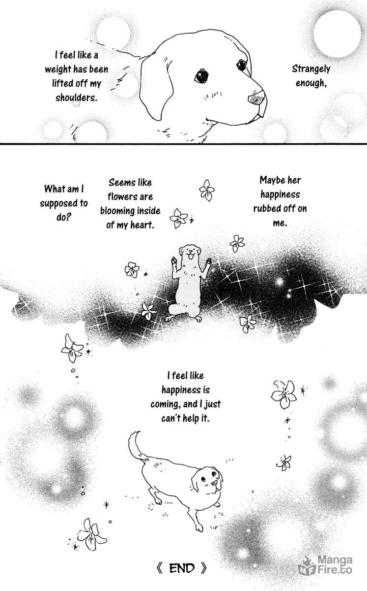 Principal Chapter 23 page 72 - 