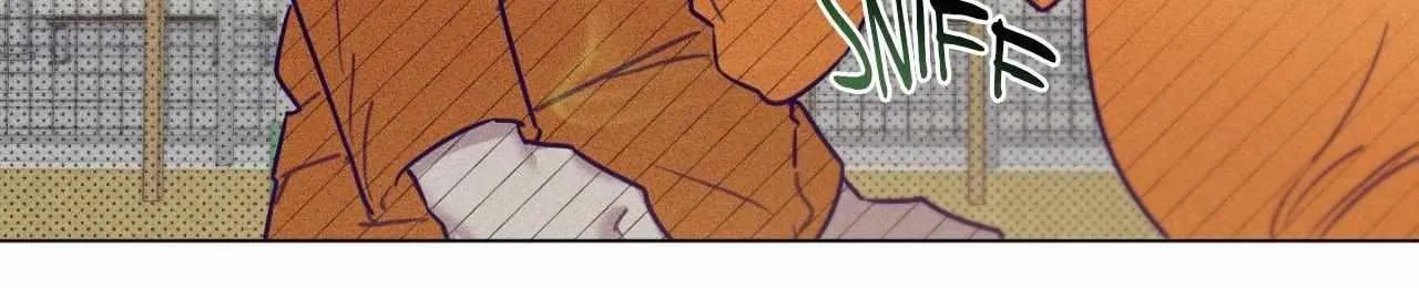 Read Prison Breakfast chapter 53 image 11 on Lezhin