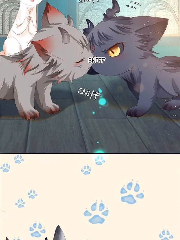 Read Private Devil Puppy chapter 109 image 74 on Lezhin