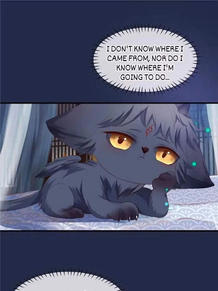 Read Private Devil Puppy chapter 110 image 13 on Lezhin