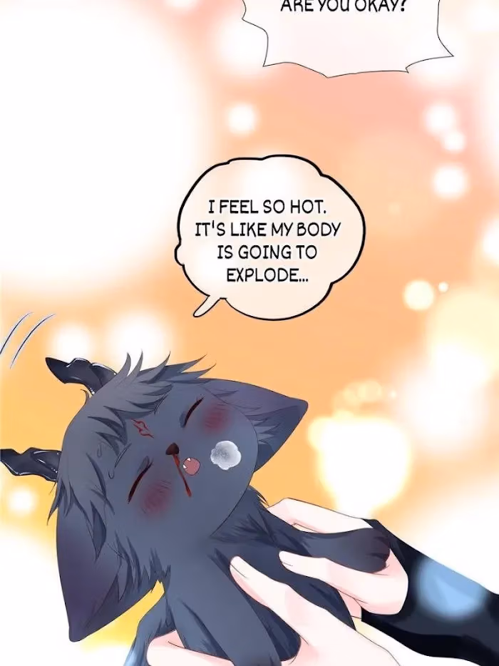 Read Private Devil Puppy chapter 110 image 74 on Lezhin