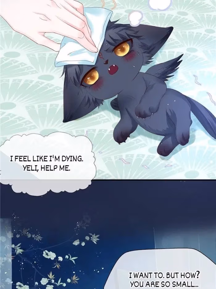 Read Private Devil Puppy chapter 111 image 3 on Lezhin