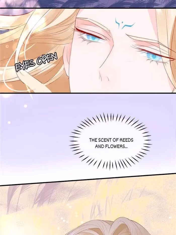 Read Private Devil Puppy chapter 116 image 3 on Lezhin