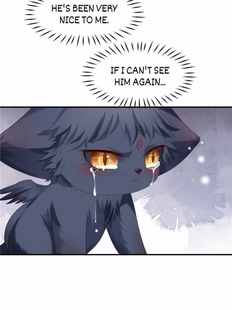 Read Private Devil Puppy chapter 128 image 43 on Lezhin