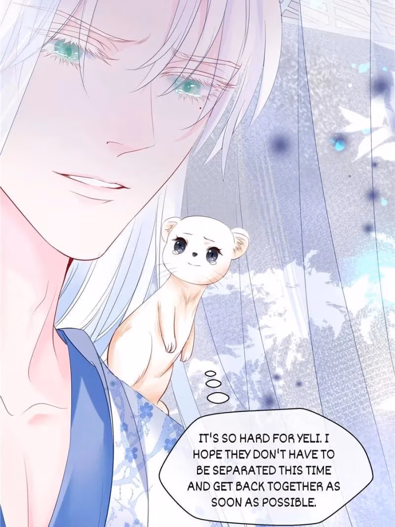Read Private Devil Puppy chapter 97 image 5 on Lezhin