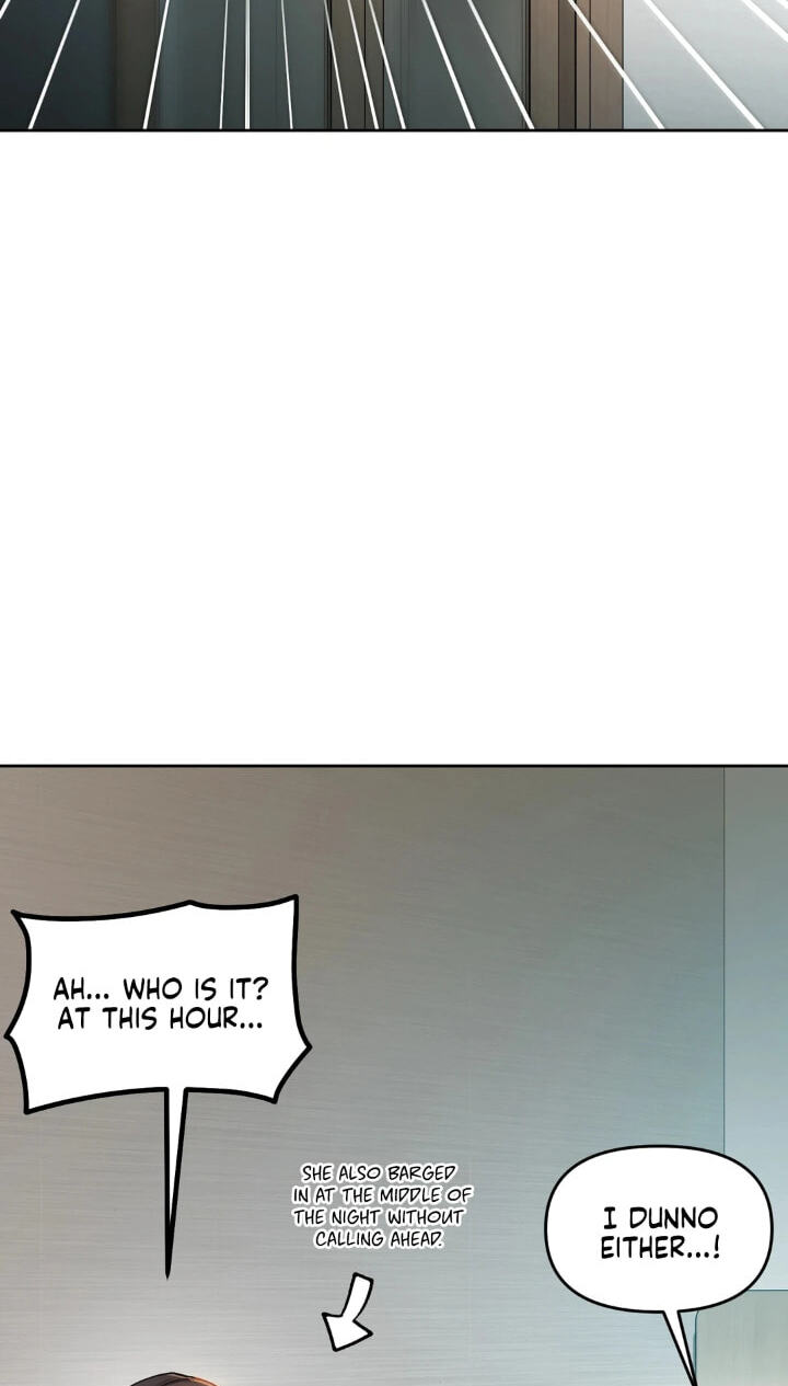 Professor's Alt Account Chapter 31 page 17 - 