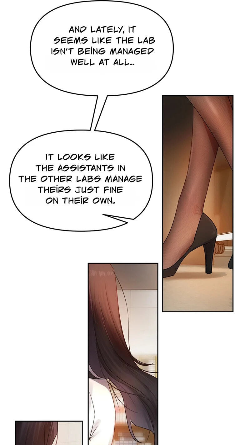 Professor's Alt Account Chapter 35 page 41 - 