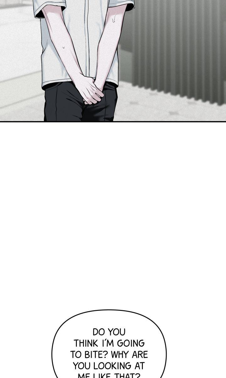 Read Projection chapter 8.1 image 72 on Lezhin